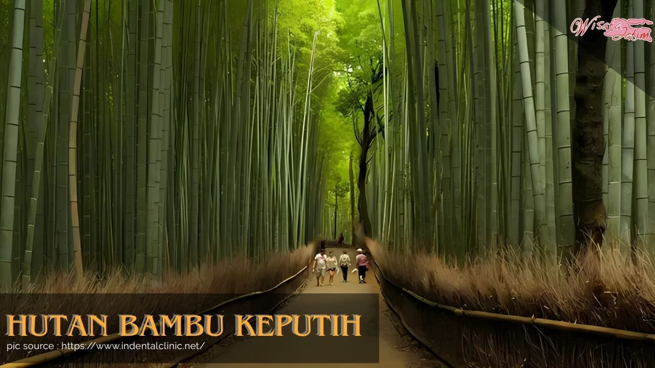 Hutan Bambu Keputih, Wisata Jatim, Rental Mobil Surabaya, Rental Mobil Bulanan Surabaya, Destinasi Wisata Surabaya, Wisata Viral, Kuliner Viral di Surabaya