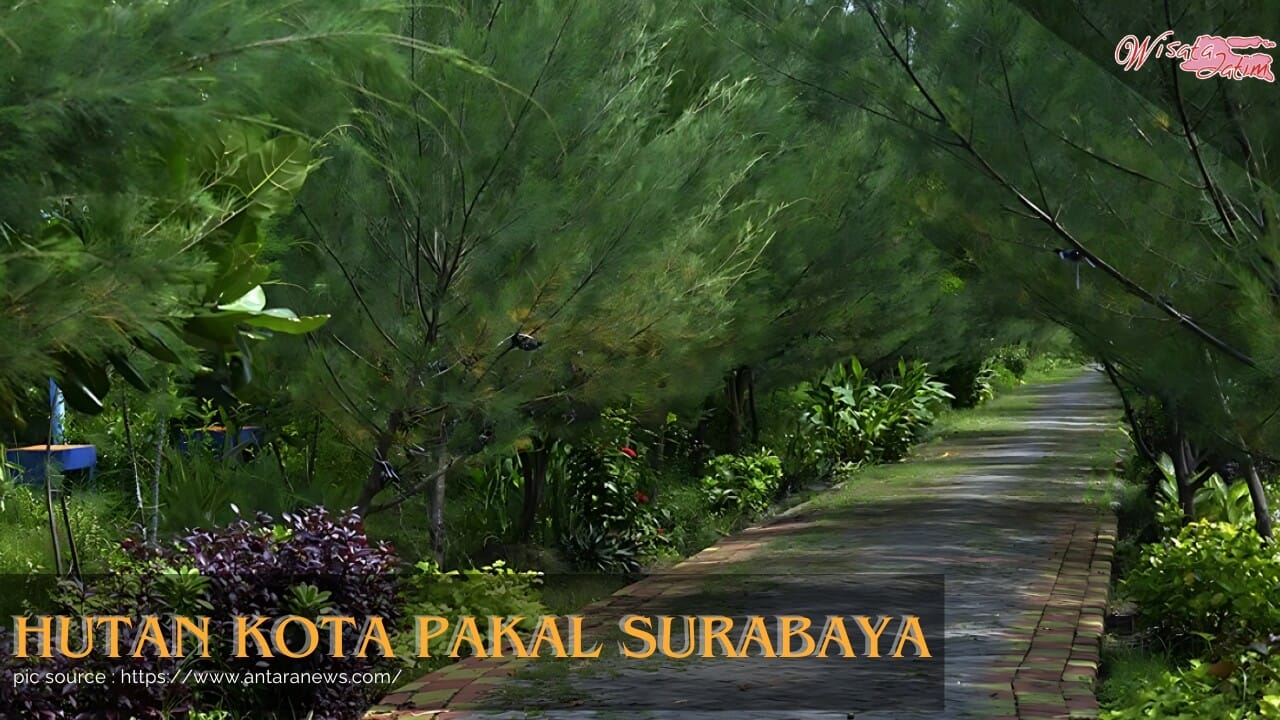Hutan Kota Pakal Surabaya, Wisata Jatim, Rental Mobil Surabaya, Rental Mobil Bulanan Surabaya, Destinasi Wisata Surabaya, Wisata Viral, Kuliner Viral di Surabaya